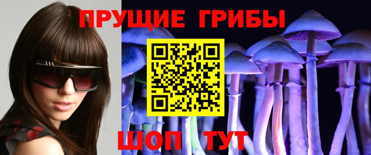 Галлюциногенные грибы мицелий  Псилоцибиновые грибы Magic Shrooms  Луховицы  Вход с VPN 