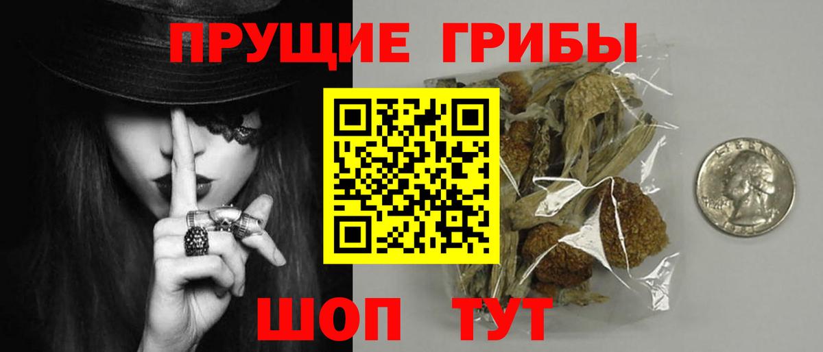 Галлюциногенные грибы ЛСД Луховицы